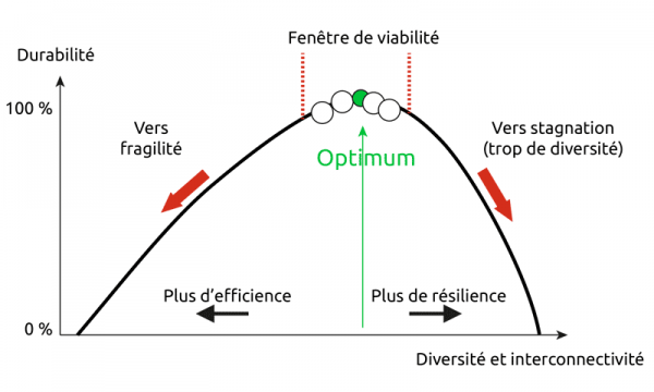 Trop de résilience neutralise le système et l'empêche de progresser ; trop d'efficience fragilise et conduit à l'effondrement. Source: Jean-Michel Cornu - http://ebook.coop-tic.eu/