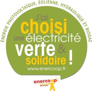 La transition énergétique: choix d'investissement ou dépense nécessaire ?